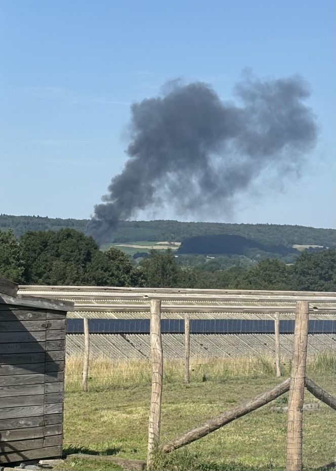 453217638_428832260195795_7656047313512322263_n