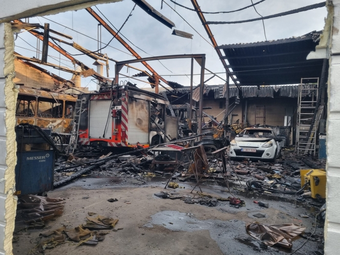 whatsapp_image_2024-07-31_at_07