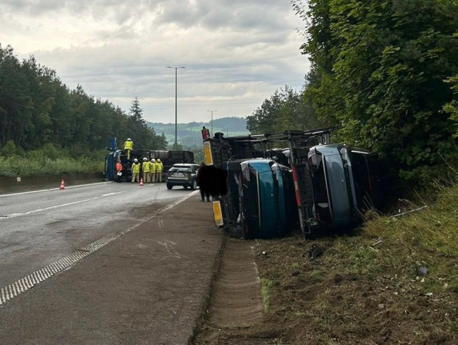 whatsapp_image_2024-07-31_at_11