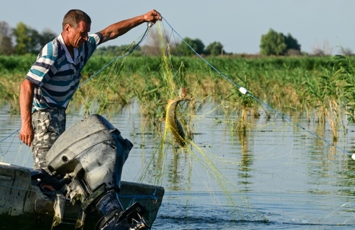 Roumanie: dans le delta du Danube, quand la nature reprend ses droits