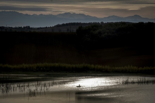 Une plateforme de location d'étangs pour les mordus de poisson