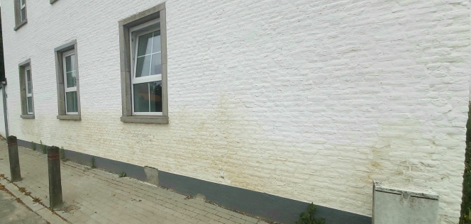 facade_laterale_avec_taches_sombres