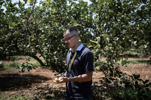 Quand la Sicile frappée par la sécheresse jette l'eau de pluie à la mer