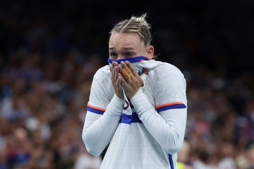 Handball: les Bleues passent à côté contre la Norvège et n'auront que l'argent