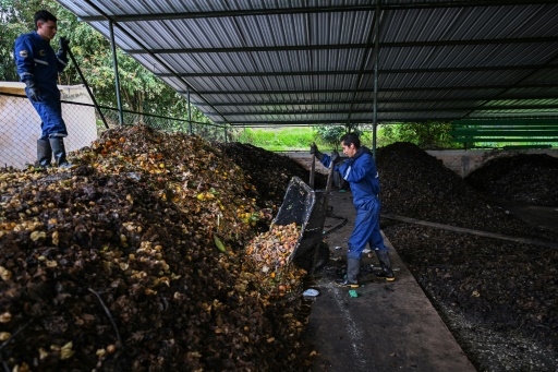 Scarabées et cryptomonnaies : gestion innovante des déchets en Colombie