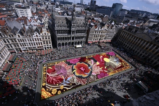 Street art et tapis de fleurs sur la Grand-Place de Bruxelles
