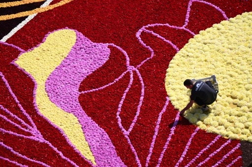 Street art et tapis de fleurs sur la Grand-Place de Bruxelles