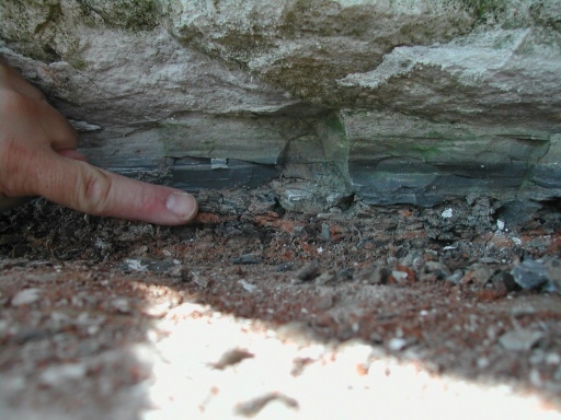 L'astéroïde ayant éradiqué les dinosaures s'est formé au-delà de Jupiter