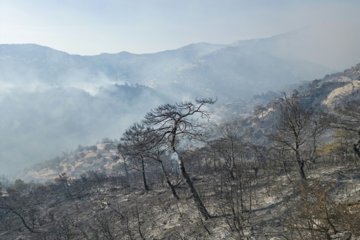 Turquie: de nouveaux incendies à Izmir, partiellement contrôlés