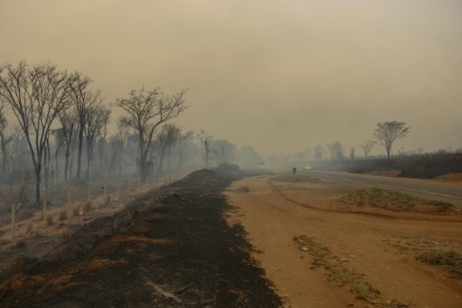 Le Brésil en guerre contre les incendies dans le sud-est