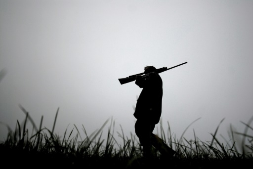 L'interdiction de la chasse à la tourterelle des bois prolongée d'un an