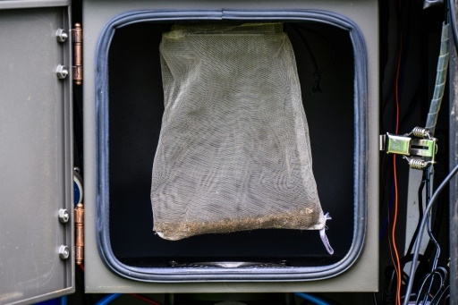 Pour la Corée du Sud, une autre menace venue du nord: le paludisme