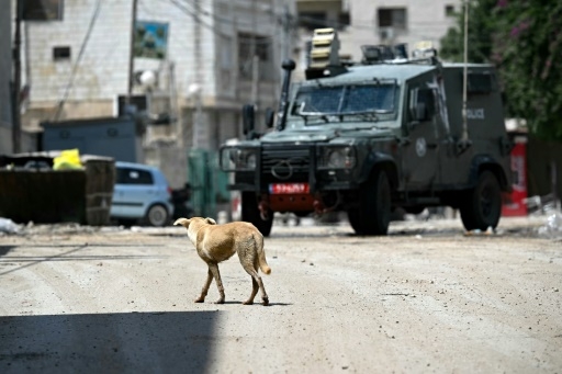 Cisjordanie : combats à Jénine au quatrième jour d'une vaste opération israélienne