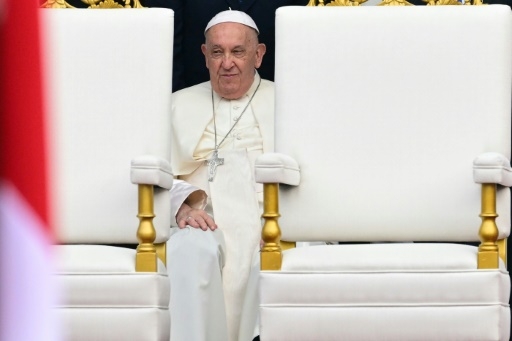 Le pape relance le débat sur la natalité avec une boutade sur les chats et les chiens