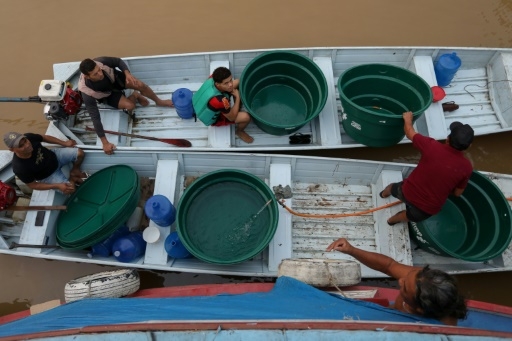 Au Brésil, un petit paradis piégé par la sécheresse en Amazonie