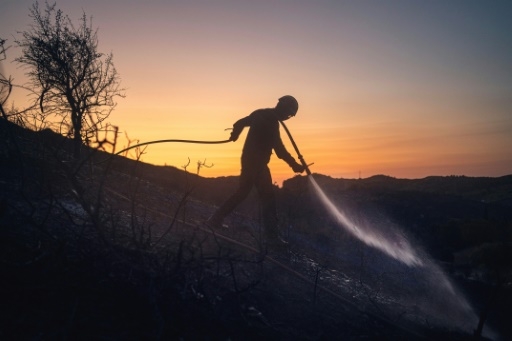 Incendie aux abords de Narbonne, une  maison détruite, quatre endommagées