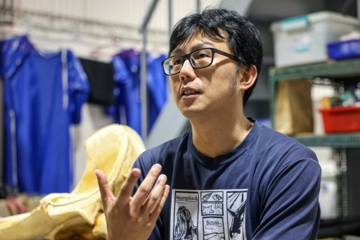 A Taïwan, des bénévoles en lutte contre les échouages massifs de cétacés