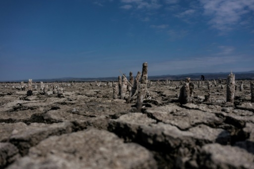 Dans le nord de la Grèce, la puanteur et l'inquiétude autour des lacs asséchés
