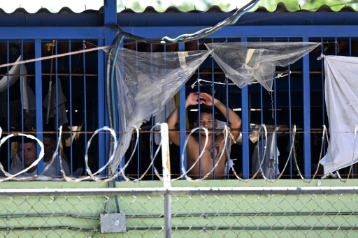 Au Salvador, les familles entre gangs et répression sécuritaire