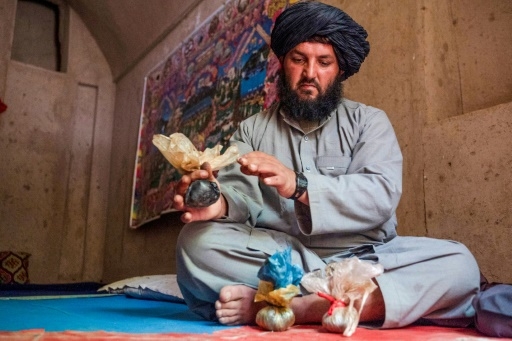 Dans le Helmand, l'opium ou la faim pour les paysans afghans