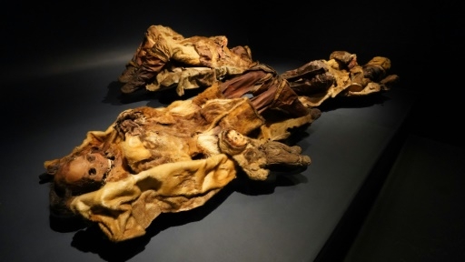 Au Groenland, les tatouages inuits reviennent sur les visages de femmes