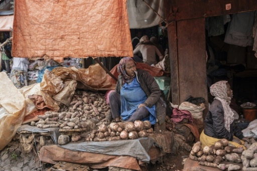 Ethiopie: depuis l'effondrement de la monnaie locale, le business tourne au ralenti