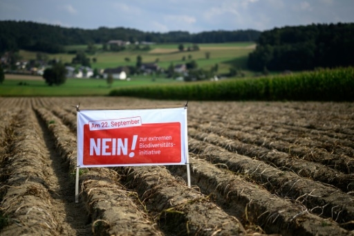 2e0359fbf2d5e90bf756858ba3622c6aec17176a