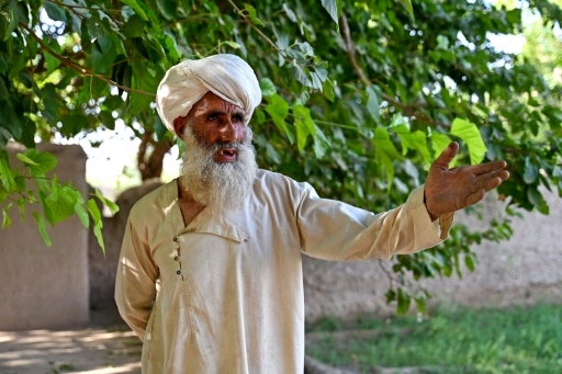 Dans le Helmand, l'opium ou la faim pour les paysans afghans