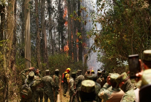Equateur: la capitale Quito en état d'urgence face à 27 incendies de forêts