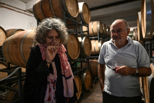 Le vin turc voit son salut dans l'exportation