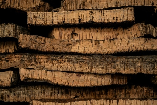 Le Portugal champion mondial du liège, matériau écologique en quête de nouveaux débouchés