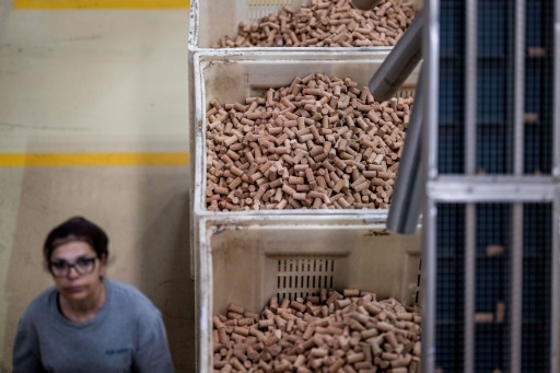 Le Portugal champion mondial du liège, matériau écologique en quête de nouveaux débouchés