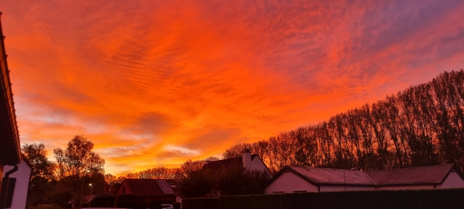 1e2f75f6-9607-bd4a-43af-dc70368518ef-20241006_074012