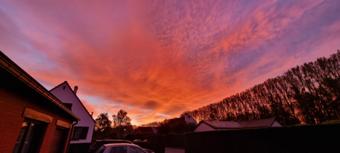 023573b5-ee22-0891-8a49-22c075bdb735-20241006_074158