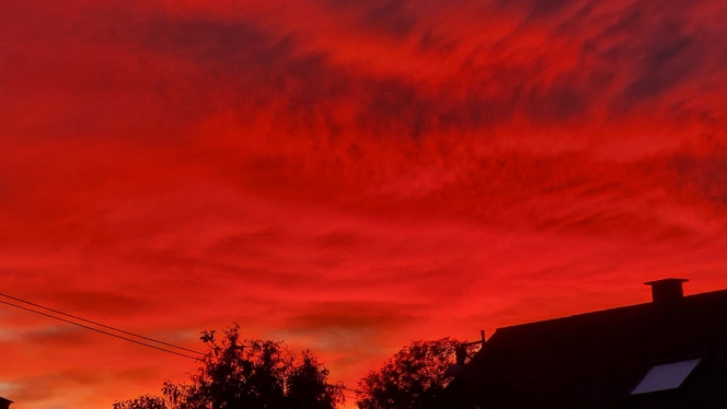 b7bcdba7-e919-8956-c7d5-74d93dc01a9b-img-20241006-wa0000