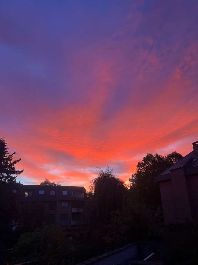 c7ef18af-8392-9fa6-e352-e5afea00105e-img_4554