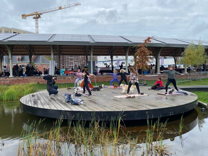 whatsapp_image_2024-10-20_at_11