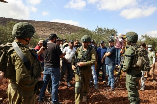 A Gaza et en Cisjordanie, une récolte des olives dans la peur de la guerre et des colons