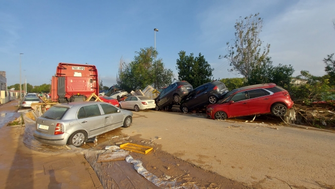 whatsapp_image_2024-10-31_at_08