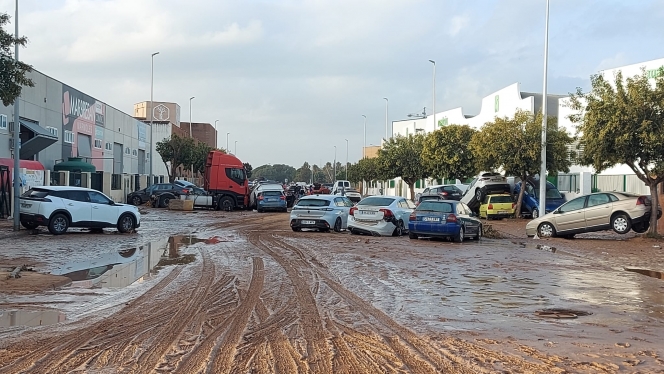 whatsapp_image_2024-10-31_at_08