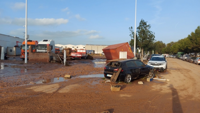 whatsapp_image_2024-10-31_at_08