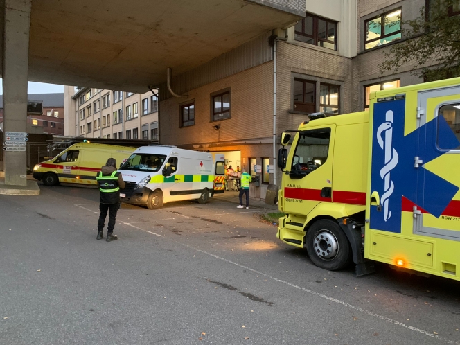 whatsapp_image_2024-11-16_at_07