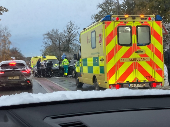 whatsapp_image_2024-11-21_at_08