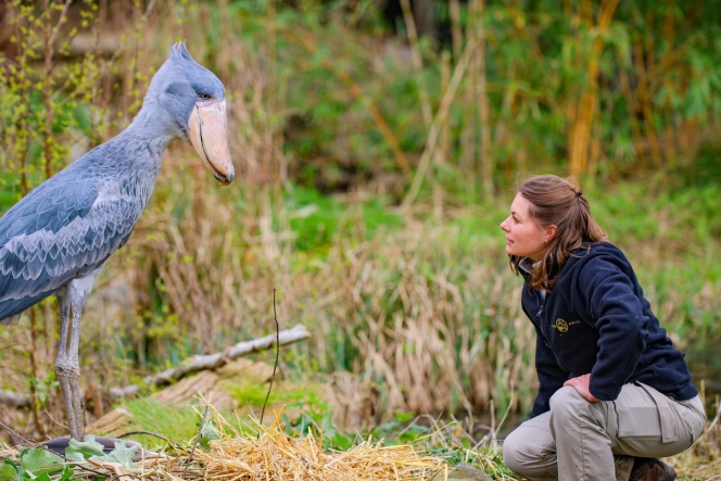 original-ec537a0a-7aed-4110-9ddc-56adee817a0a