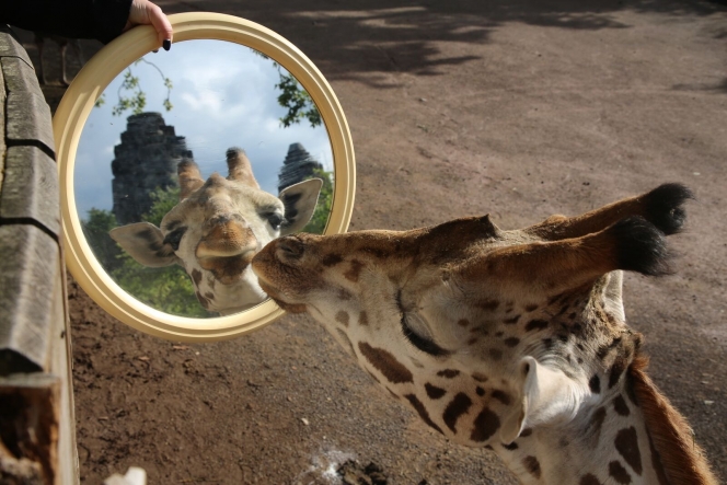 original-12ba5c99-4f9a-44b1-b1bf-c47a3650ce55