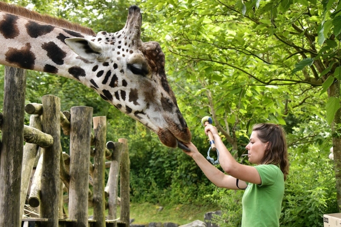 original-8bf40f1c-5e6e-423d-8c1d-4310bf8e94af