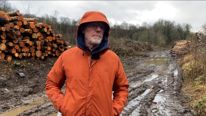 monsieur_arbres_abattu