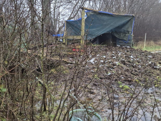 letat_de_labri_ce_mercredi_15_janvier