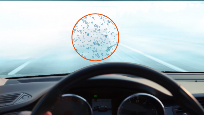 fkioewfkiopewkfewkfew