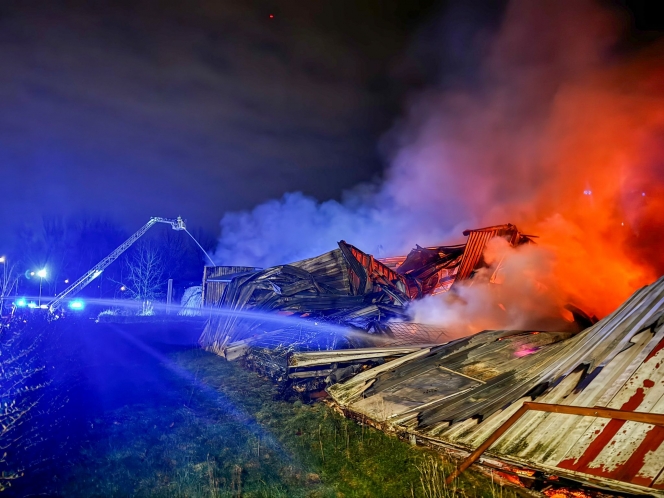 whatsapp_image_2025-02-26_at_02